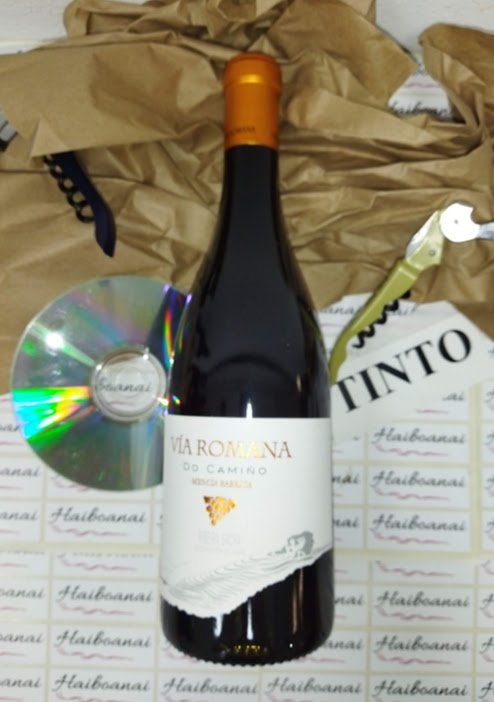 Vía Romana do Camiño Mencía Garda - Imagen 2